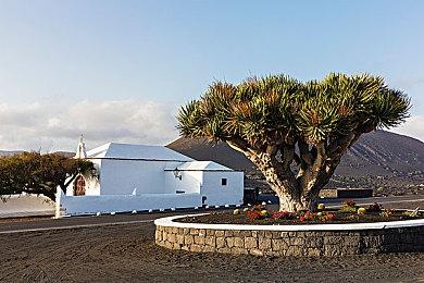 《仁王3》领衔！光荣公布TGS 2025参展游戏阵容